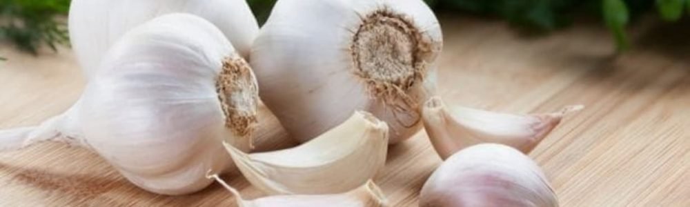 lashun-garlic